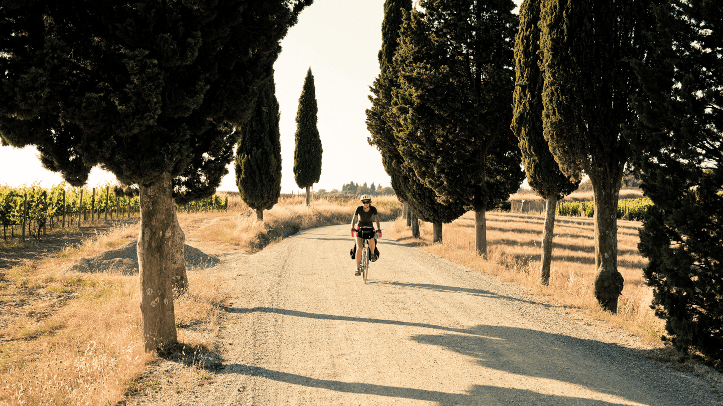 Cycling & E-Bike Hire