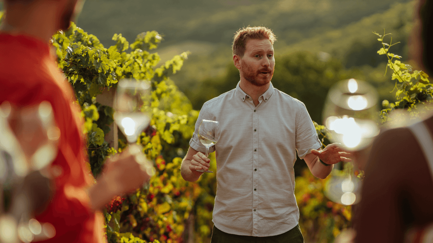 Wine Tours & Tastings