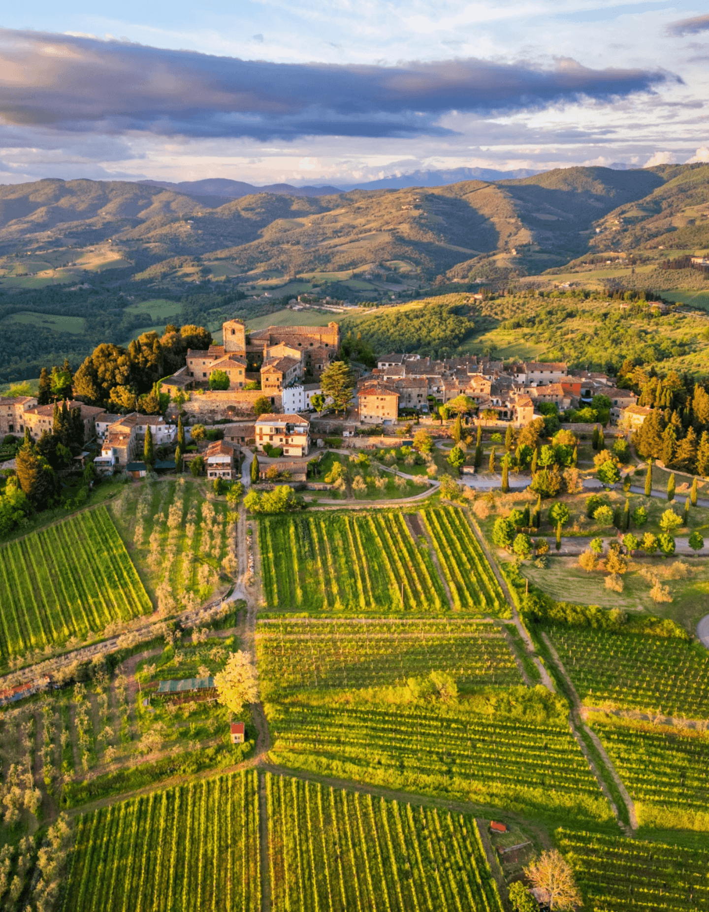Heuvels van Chianti